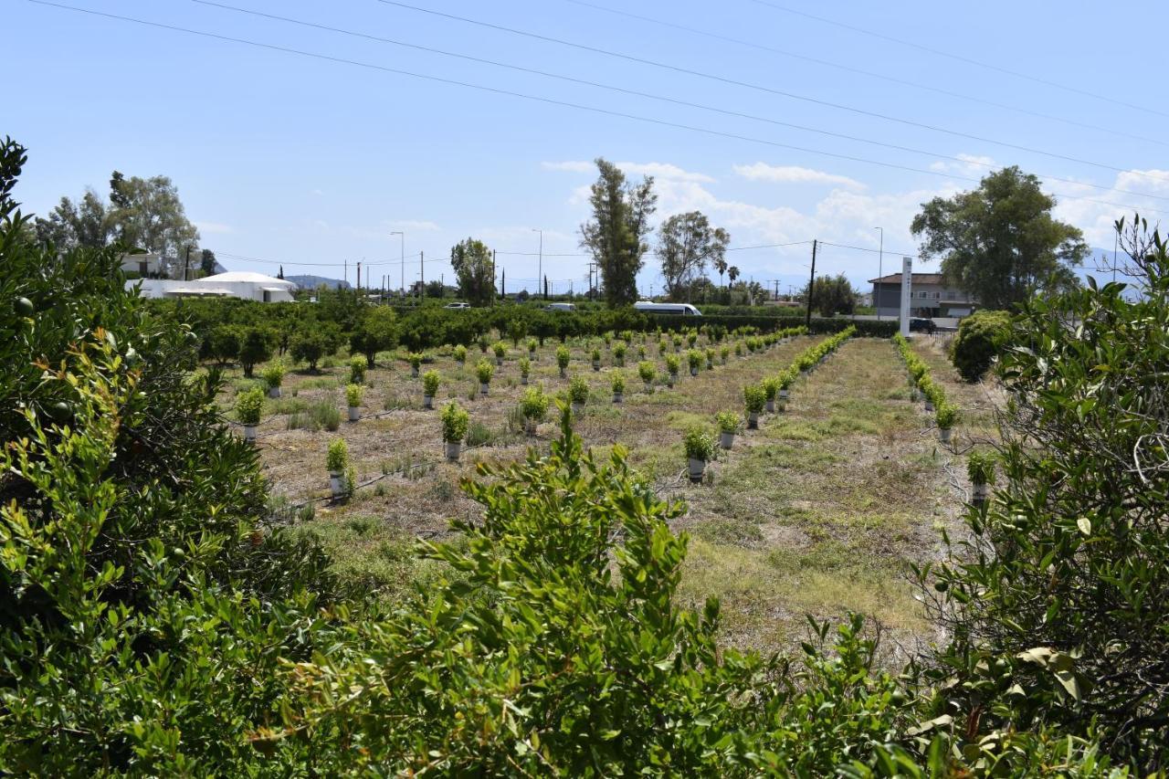 To Spitaki Dalamanara エクステリア 写真